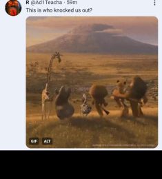 Mark, 24 years old, Straight, Man