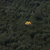 John, 28 years old, Nairobi, Kenya