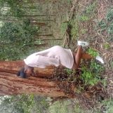 Flow, 26 years old, Kasarani, Kenya