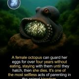 Bryan, 26 years old, Mbale, Kenya