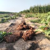 Ben, 40 years old, Nairobi, Kenya