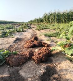 Ben, 40 years old, Straight, Man