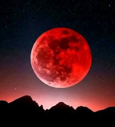 DG, 36 years old, Straight, Man