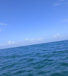 Ogy, 26 years old, Straight, Man