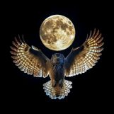 Wilson, 22 years old, Kilimani, Kenya