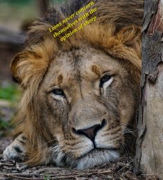 Adram @Harmes, 26 years old, Straight, Man