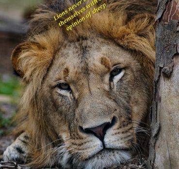 Adram @Harmes, 26 years old, Rongai, Kenya