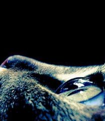 Ryne, 25 years old, Straight