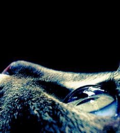 Ryne, 25 years old, Straight, Man