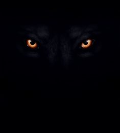 DAMMDY, 22 years old, Straight, Man