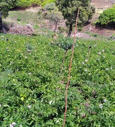 Frankline Muriungi, 30 years old, Straight, Man