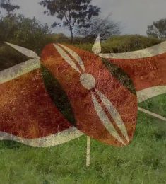 Cobra, 29 years old, Straight, Man