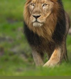 Makayla, 36 years old, Straight, Man