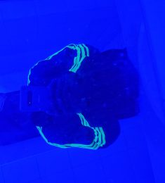 Erick, 27 years old, Straight, Man