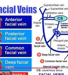 nyamwanda, 20 years old, Straight, Man